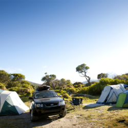 Top 10 Camping Spots After the Australian Bush fires